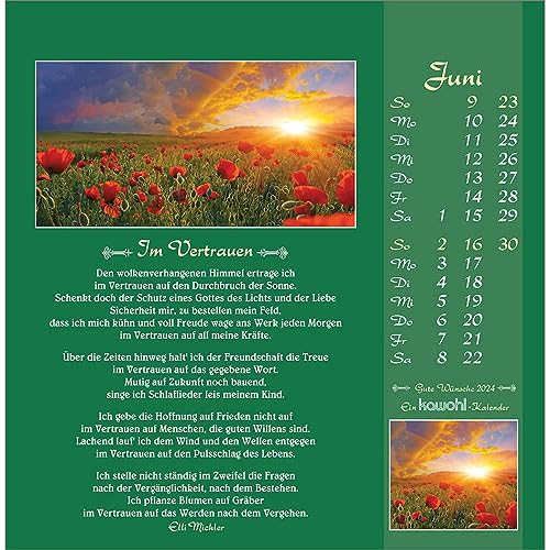 Gute Wünsche sollen dich begleiten 2024: Elli Michler-Postkarten-Kalender