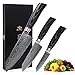 Wakoli Edib Pro 3er Damastmesser-Set mit Klingenlängen von 9cm - 17,50cm extrem scharf aus 67 Lagen I Profi Küchenmesser-Set aus echtem japanischen Damaststahl mit Pakkaholzgriffen & schwarzer Holzbox