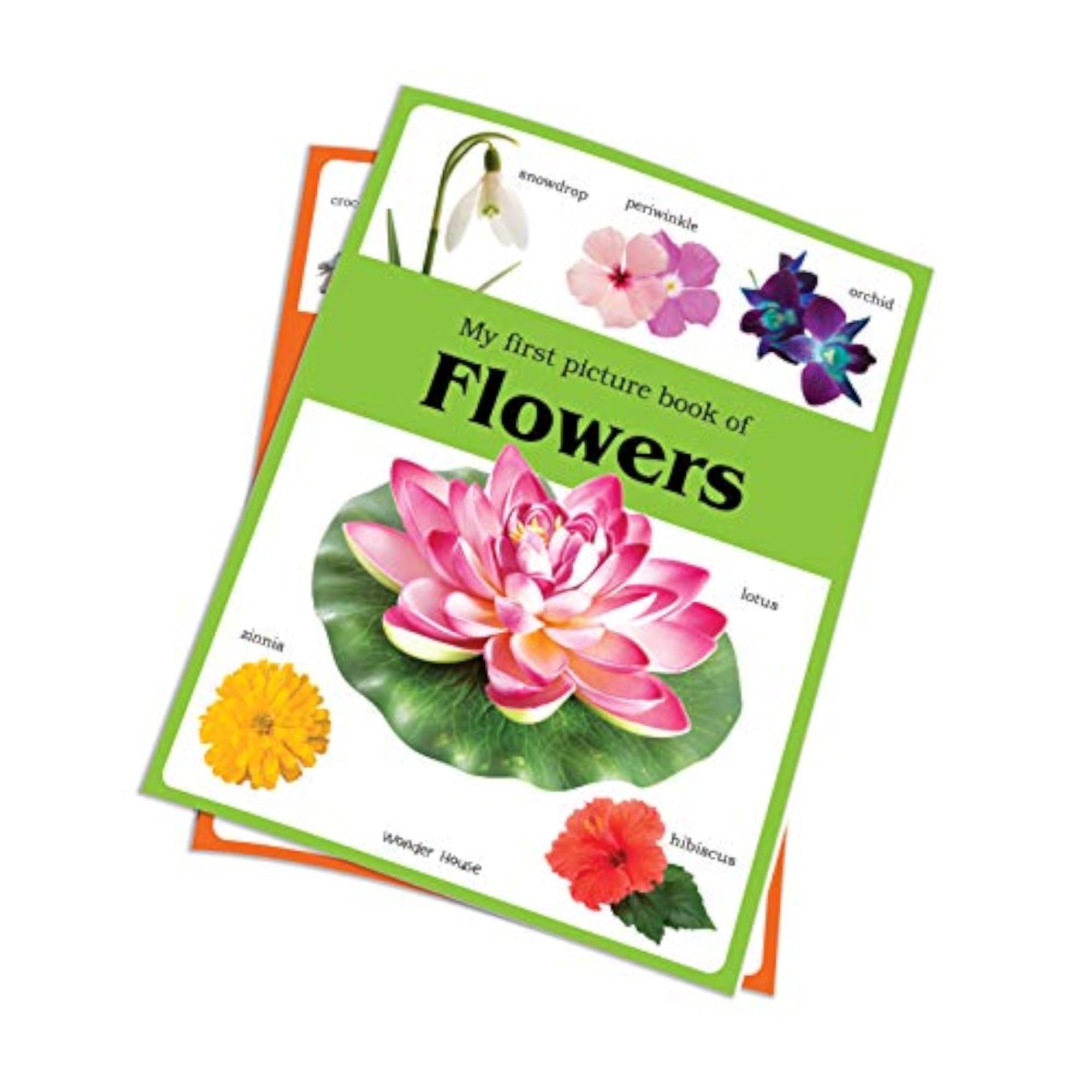 My First Picture Book of Flowers