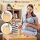 BARAKYEG Montessori Spielzeug ab 1 Jahr,3-in-1 Montessori Spielzeug ab 1 2 3 Jahre,Holz Montessoris Spielzeug 1 2 3 Jahre, Geschenk Mädchen Jungen 1 2 Jahre Farbe Sortierspiel,reisespielzeug ab 1 jahr
