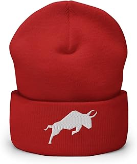 Hogue WS LLC Polymath Cryptocurrency Logo Hat (Embroidered Cuffed Beanie)