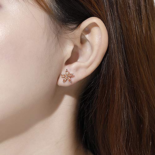 KRUCKEL Nature, essence of life, origin of lives