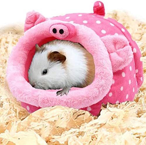 hedgehog accessories amazon