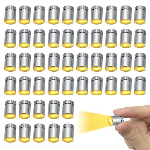 Golgner 50 Stück Mini LED Lichter für Puppenhäuser, Micro LED...