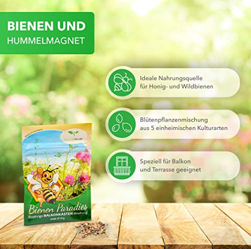 Magic of Nature Balkonkasten Mischung - 10g Samen - Bienenfreundliche Pflanzen - Kinderleichte Anwendung - Bienen… – Bild 3
