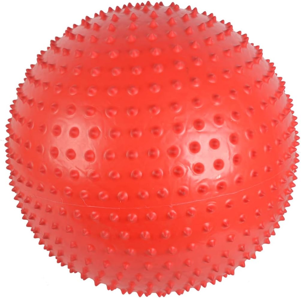 Rubber Gymnasium Textured Inflatable Yoga Exercise Ball 45cm Red (id: bda 852 407 f54 0a4
