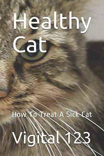 Healthy Cat: How To Treat A Sick Cat