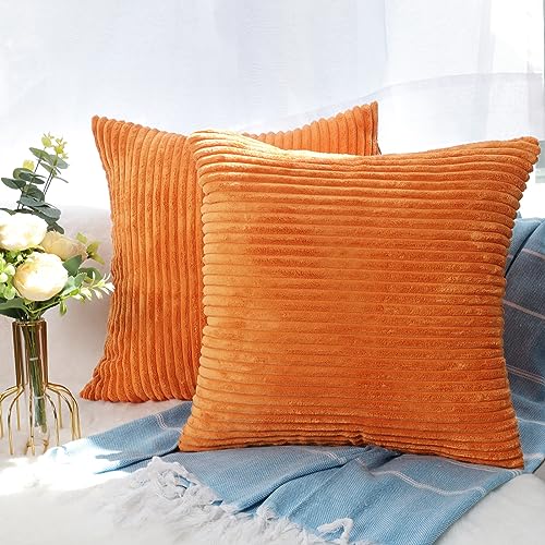 CALIYO Kissenhülle Kord Uni 2er Set, Kissenbezug 40x40 Kissenbezüge für Zierkissen Dekokissen Sofakissen Couchkissen in vielen Farben.