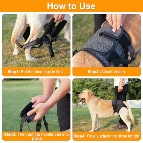 Dog Lifting Harness,Dog Support Harness Slings for Back Legs,Adjustable Assistance Support Strap for Injured,Disabled,Elderly Dogs (S) - Image 5