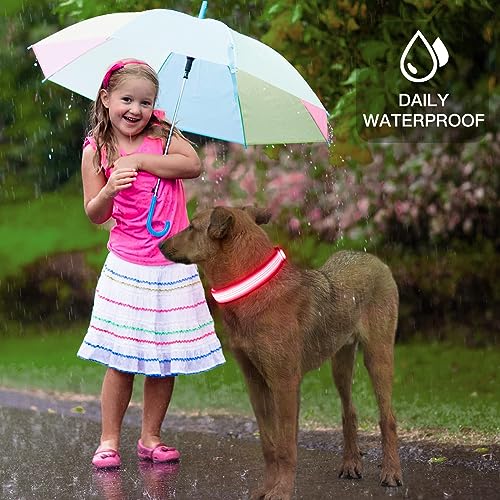 YFbrite Light up Dog Collar, USB Rechargeable LED Pet Collar, Flashing Night Visibility Neckwear - Image 3