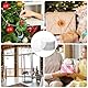 UTMACH 50 Stücke 6.5cm Acrylplatte Transparent mit Loch DIY Transparent Acrylglas Rund 1MM Dick Acrylscheiben Klare Acrylplatten Runde für Bilderrahmen Display, Malerei, DIY Handwerk