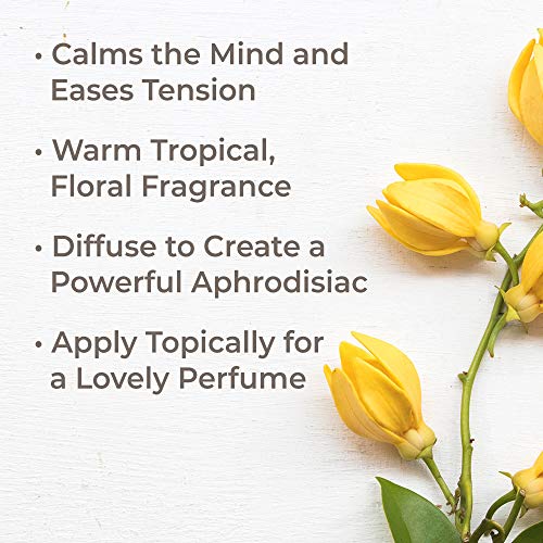 Plant Therapy Ylang Ylang Complete Essential Oil 100% Pure, Undiluted, Natural Aromatherapy, Therapeutic Grade 10 Ml (1/3 Oz) #TOP1