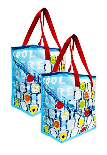 Earthwise Large Insulated Reusable Bag (2 Pack)