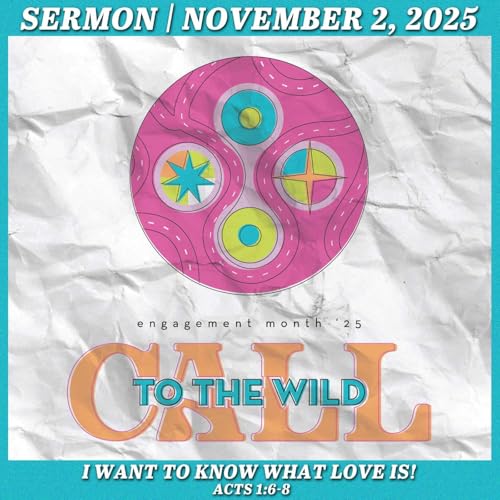 The Wide, Wild World - November 2, 2025