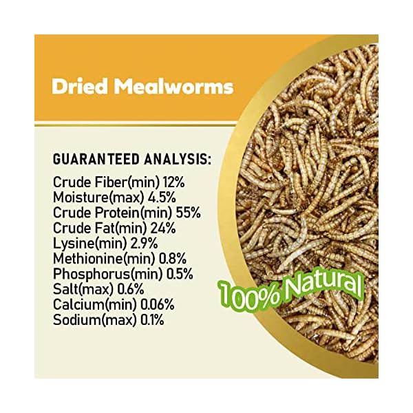 Adaman Dried Mealworms 5 LBS 100 Natural Non GMO High Protein