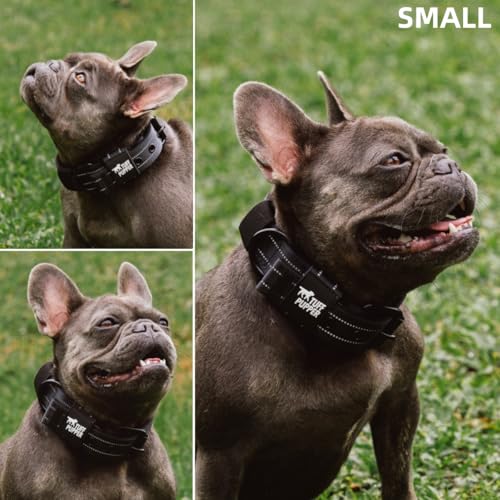 Image of Tuff Pupper Heavy Duty Tactical Dog Collar | 1.25 inch Wide Ballistic Nylon | Reflective Stitching | Integrated ID Tag Holder | Stainless Steel Buckle | Padded Lining | Small & Medium Dogs (Black, Small)