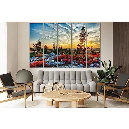 Tableau Sunset Sky Forest ZELLART évadez-vous avec cette décoration murale nature