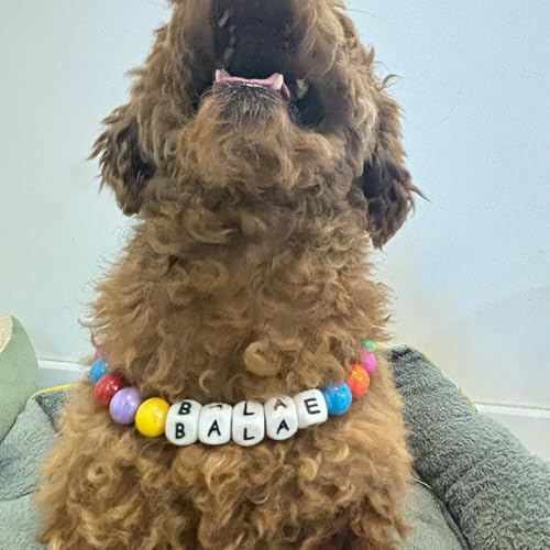 Personalisiertes Hundehalsband mit Perlen, Abnehmbare Namenskette, Niedliche Bunte Perlenhalsbänder für Hunde, Hundehalsband mit Hundemarke, Geschenke für Hunde