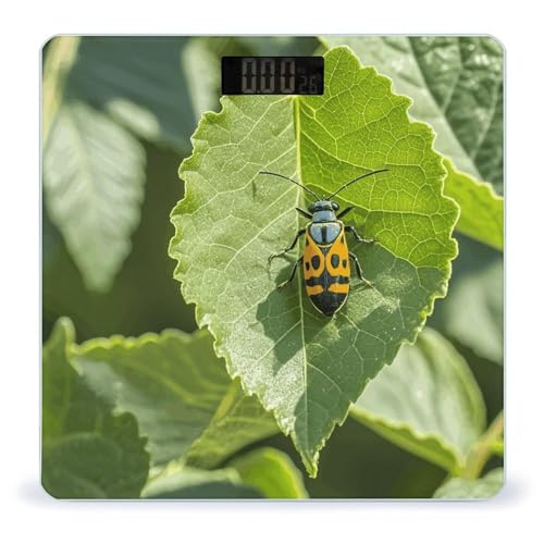 Báscula digital de baño con diseño insectos en hojas miniatura 1
