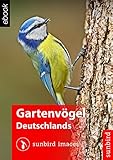 Gartenvögel Deutschlands - Vögel Erkennen, Bestimmen und Schützen: Naturführer zum Identifizieren der 100 häufigsten heimischen Vogelarten in Deutschland