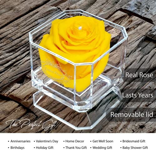 Una rosa reale al 100% che dura anni - Petali eterni, fatti a mano nel Regno Unito - Solo d'oro con cristallo Swarovski trasparente (giallo) - Image 3