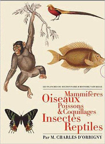 Télécharger Les planches du Dictionnaire d'Histoire Naturelle - Coffret 5 vol. de Charles d'Orbigny (2012) Reli Livre eBook France