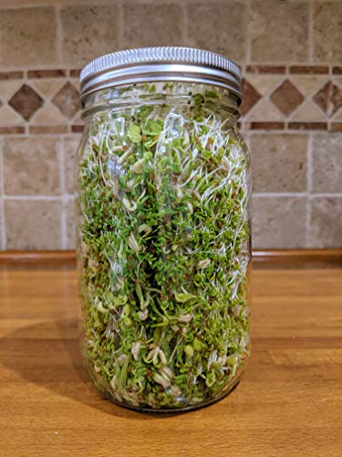 Sprouting Lids-2 Pack 316 Stainless Steel 100% Rust Free for Wide Mouth Mason Jars Lid Kit, Sprout Fresh Organic Broccoli Seeds, Mung Beans, Alfalfa Seed, Lentils, Radish and More (Seeds not included) - Thumbnail 3