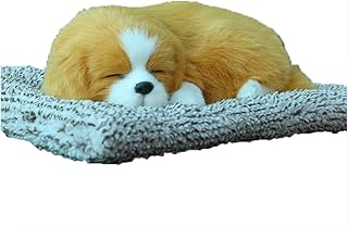 humane animal shelter