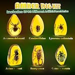 Kit dig Amber - Excavation 6 Insectes Specimens, STEM Jouets d'éducation géographique, kit d'excavation scientifique pour les fêtes amusantes, collection de bugs pour les enfants Âge 6+