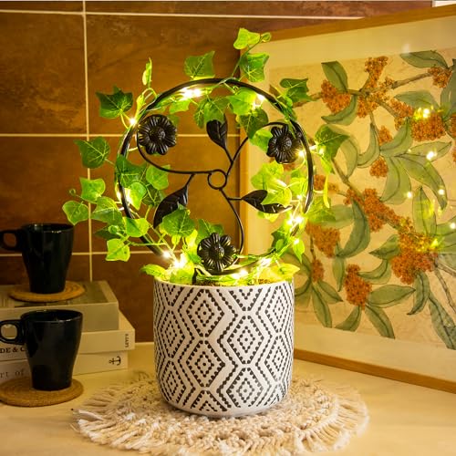 2-Pcs-14in-Indoor-Metal-Garden-Circle-Plant-Trellis-for-Houseplant-Climbing-Pot-Plants-Black-Style-E 2 Pcs 14in Indoor Metal Garden Circle Plant Trellis for Houseplant Climbing Pot Plants Black Style E