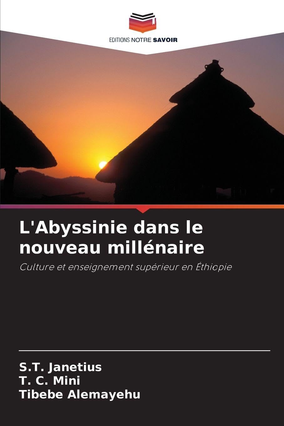 L'Abyssinie dans le nouveau millénaire: Culture et enseignement supérieur en Éthiopie