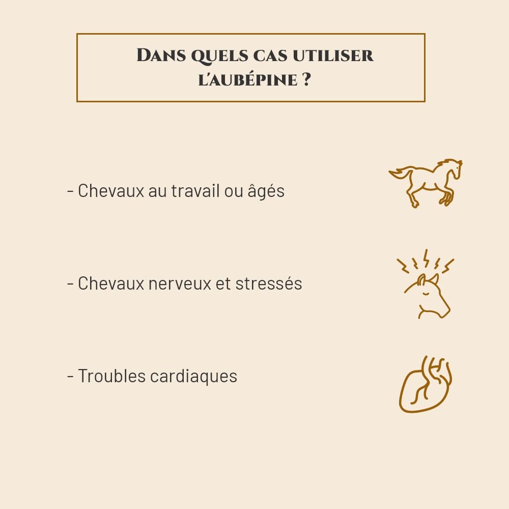 AUBÉPINE - Complément nutritionnel Cheval - Seau 1 kg - Soutient la Circulation - Confort Cardiaque - Relaxation Cheval - Marque Française