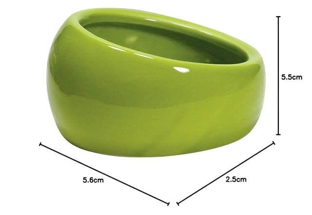 Foto 4 de 4 de Living World Comedero Ergonómico Grande, Color Verde
