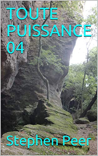 TOUTE PUISSANCE 04 livre En ligne