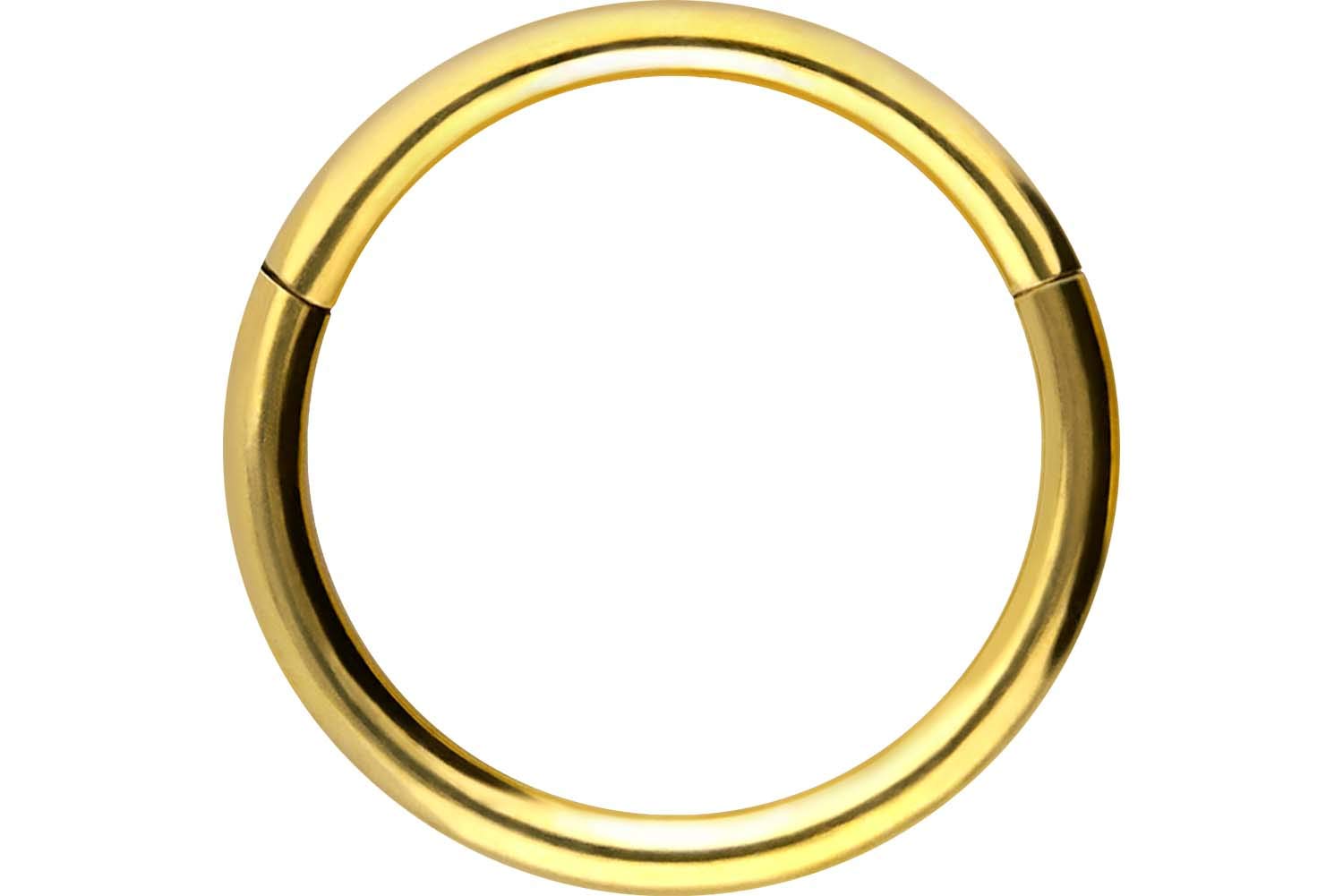 PIERCINGLINE Anillo segmento Clicker de acero quirúrgico – Piercing en oro, plata, rosa, negro o azul – para nariz, tabique, oreja, hélice o tragus — view 64