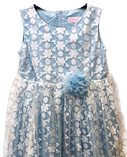 Girls' Blue Sleeveless Floral Special Occasion Dress4