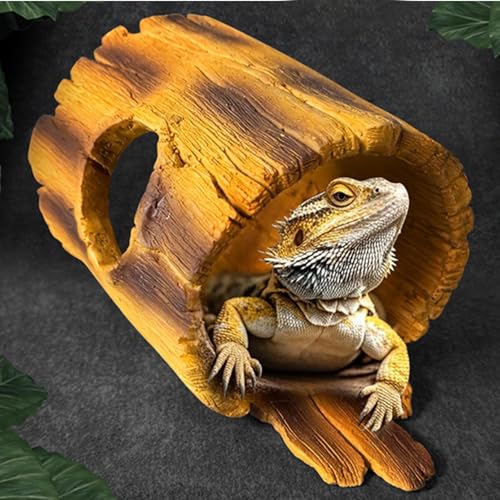 Grotte pour reptile contre l'humidité pour araignées et petits crabes
