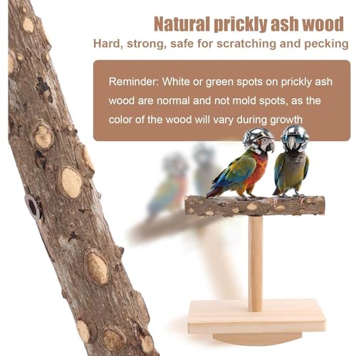Image of 2- Pieces Natural Wooden Bird Habitat Training Toy Bird Wooden Habitat Platform Habitat Frame Birdcage Toy Fitness Accessories Suitable for Long Tailed Parrots Cockatoos Macaws Sparrow Love Birds