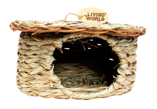 Living World Green Reed Hut Degu Huis