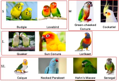 Image of Bird Costume Diaper Flight Suit Frog Shape Hoodie Clothes Cosplay Photo Prop for Parrots Parakeet Cockatiel Sun Conure, Small Animals Apparel (Green Without Diaper, Large), (BPF1)