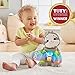 Fisher-Price Linkimals Learning Toy Smooth Moves Sloth with Interactive Music and Lights for Infants and Toddlers
