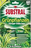 Substral Dünger-Stäbchen für Grünpflanzen, 60 Stück - mit Eisen-Plus und 2 Monate Langzeitwirkung, green