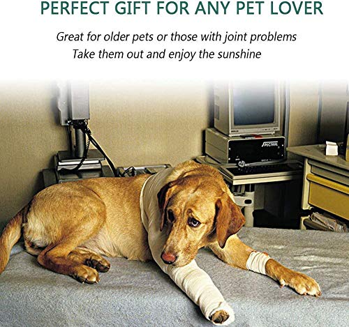 PETEMOO Passeggino per Cani Passeggino per Animali...