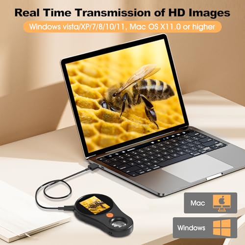Image of Handheld Digital Microscope, Fixed Focus Portable Microscope, Digital Microscope with 2in Color Screen, 200W Pixel, 500x Magnification Digital Magnifying Glass with 8LED Lights