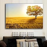 HERW Cuadro sobre Lienzo Pintura De Paisaje De Otoño, Impresiones De Árboles De Árbol Amarillo, Lienzo De Calle, Impresión De Carteles De Arrozal, Cuadro De Pared para Sala De Estar