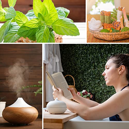 Nv Superfoods Organic Peppermint Essential Oil - 1 Fl Oz - Usda Certified Organic, Non-Gmo,Pure & Natural, Therapeutic Grade Oil For Diffuser, Skin, Nail & Hair Care & Home Essentials #TOP3