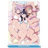 サイズ：約94×150mm 素材：アクリル