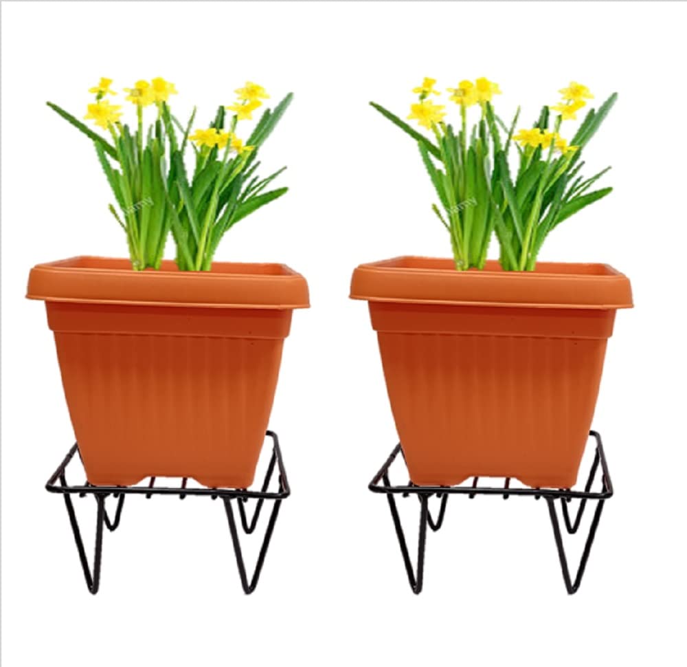 Brindavana Engineers Individual Triangle Plant Stands for Balcony, Garden, Home Decoration, Plant Stands BLACK (Pack of 2) (B09RBBPGMV) Amazon Price History, Amazon Price Tracker