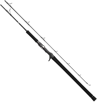 Amazon | ダイワ(DAIWA) ジギングロッド キャタリナ 61LB・E 釣り竿