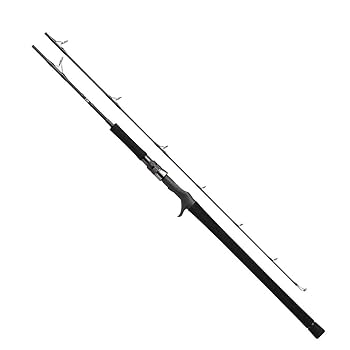 Amazon | ダイワ(DAIWA) ジギングロッド キャタリナ 61LB・E